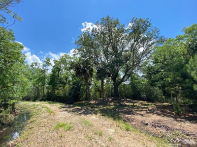 Coosaw/Judge Island Morgan River Estate Lot Beaufort - image 34
