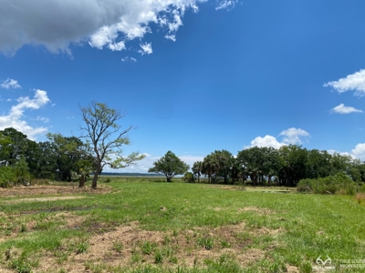 Coosaw/Judge Island Morgan River Estate Lot Beaufort - image 32