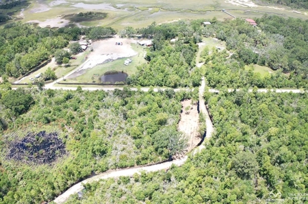 Coosaw/Judge Island Morgan River Estate Lot Beaufort - image 38