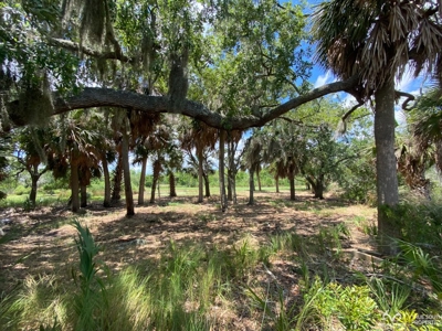 Coosaw/Judge Island Morgan River Estate Lot Beaufort - image 20