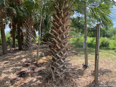 Coosaw/Judge Island Morgan River Estate Lot Beaufort - image 28