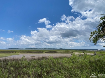 Coosaw/Judge Island Morgan River Estate Lot Beaufort - image 19