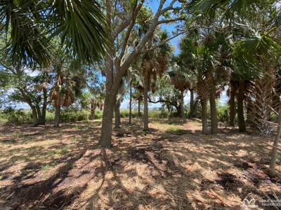 Coosaw/Judge Island Morgan River Estate Lot Beaufort - image 27