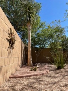 Your new Arizona luxury home - image 28