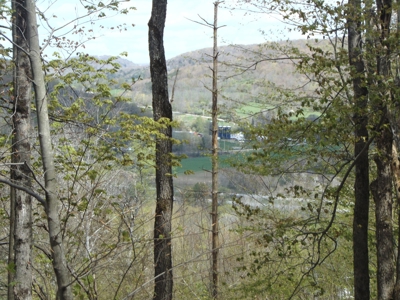 Oh What A View!!! - image 4