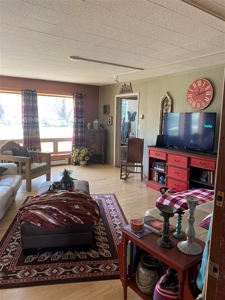 Country Home in Los Ojos NM, Northern NM Homes for Sale - image 9