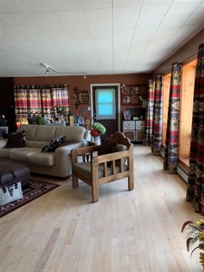 Country Home in Los Ojos NM, Northern NM Homes for Sale - image 18