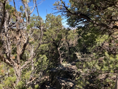 Land For Sale Mountain View Property Ouray County CO - image 7