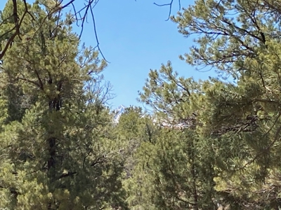 Land For Sale Mountain View Property Ouray County CO - image 18