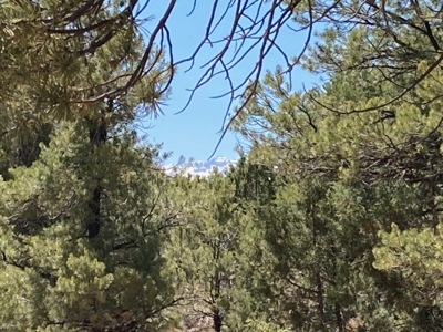 Land For Sale Mountain View Property Ouray County CO - image 21