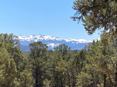 Land For Sale Mountain View Property Ouray County CO - image 17