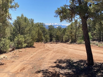 Land For Sale Mountain View Property Ouray County CO - image 20
