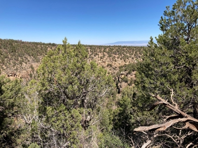 Land For Sale Mountain View Property Ouray County CO - image 9
