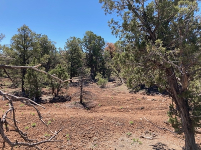 Land For Sale Mountain View Property Ouray County CO - image 12