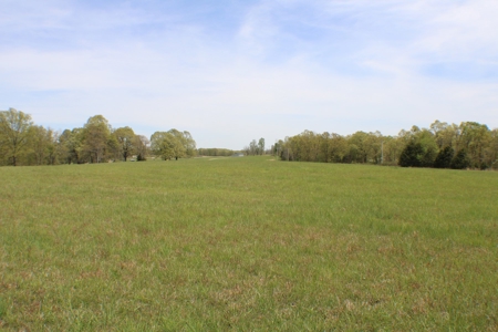 Great Farm Land For Sale - image 6
