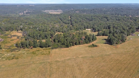 Great Farm Land For Sale - image 20