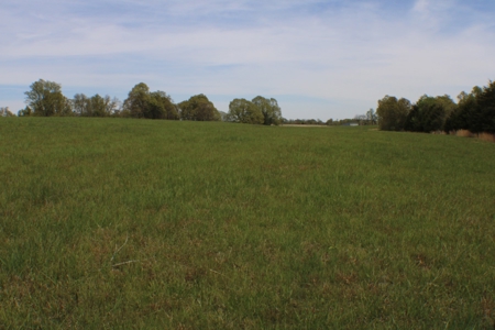 Great Farm Land For Sale - image 7