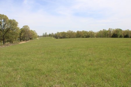 Great Farm Land For Sale - image 5