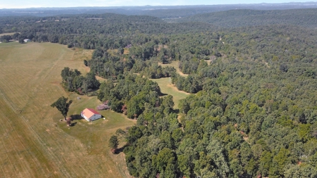 Great Farm Land For Sale - image 23