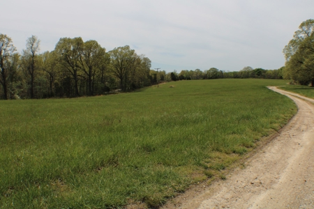 Great Farm Land For Sale - image 4