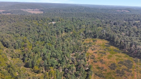 Great Farm Land For Sale - image 16
