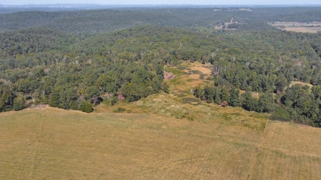 Great Farm Land For Sale - image 19