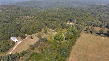 Great Farm Land For Sale - image 11
