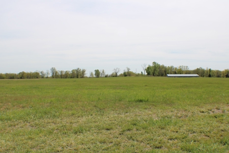 Great Farm Land For Sale - image 3