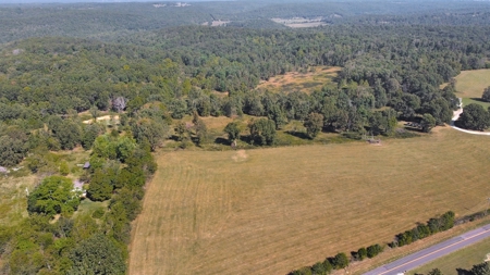 Great Farm Land For Sale - image 10
