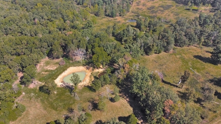 Great Farm Land For Sale - image 13
