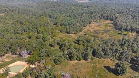 Great Farm Land For Sale - image 14
