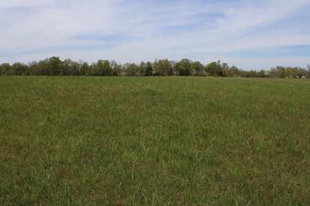 Great Farm Land For Sale - image 2