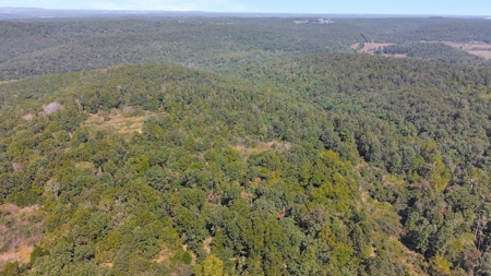 Great Farm Land For Sale - image 15