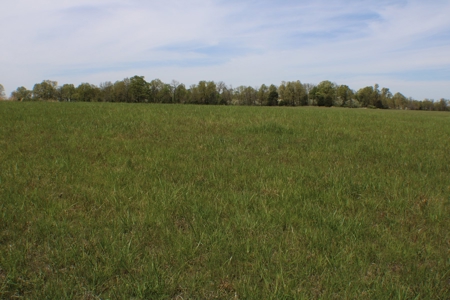 Great Farm Land For Sale - image 1