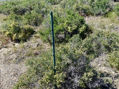 Residential Lot Near Rye Patch State Recreation Area - image 2