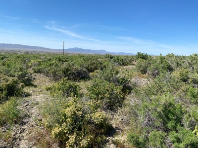 Residential Lot Near Rye Patch State Recreation Area - image 7