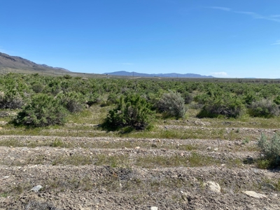 Residential Lot Near Rye Patch State Recreation Area - image 8