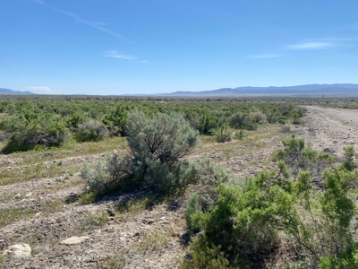Residential Lot Near Rye Patch State Recreation Area - image 9