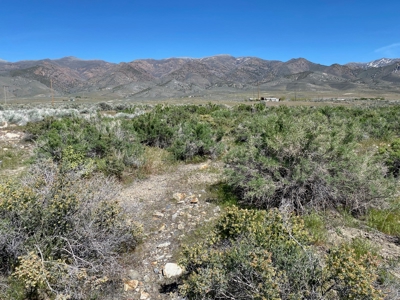 Residential Lot Near Rye Patch State Recreation Area - image 1