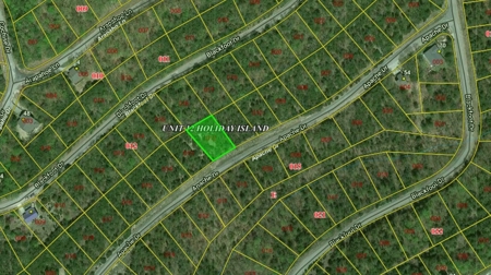 Acreage For Sale near Table Rock Lake - image 3