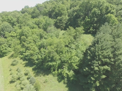 Hunting Land with Home For Sale in Monroe County, OH - image 50