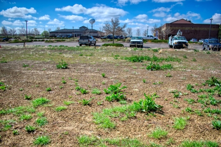 COLORADO LIVE AUCTION 3 Fully Developed Building Pads Sites - image 12