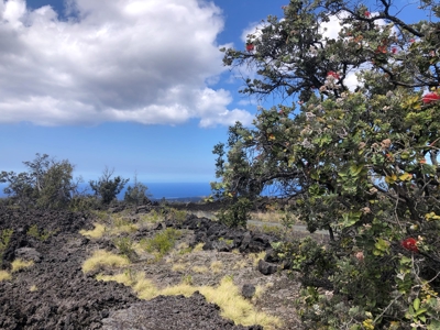 Ocean and sunset views, off grid living in Hawaii - image 11