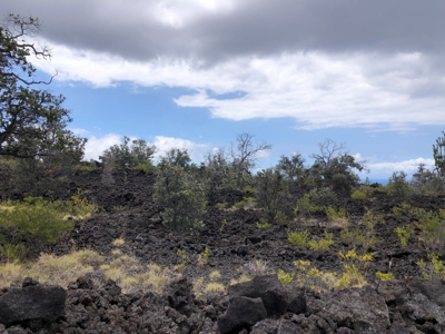 Ocean and sunset views, off grid living in Hawaii - image 16