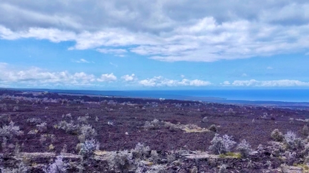Ocean and sunset views, off grid living in Hawaii - image 29