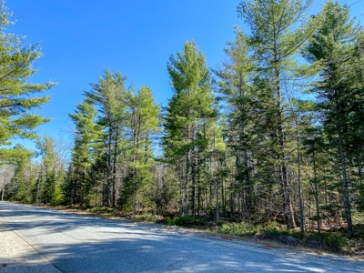 50± Acres in Otis, Maine - image 10