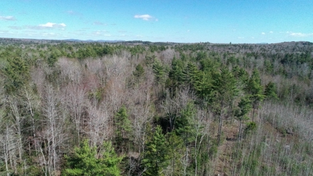 50± Acres in Otis, Maine - image 2