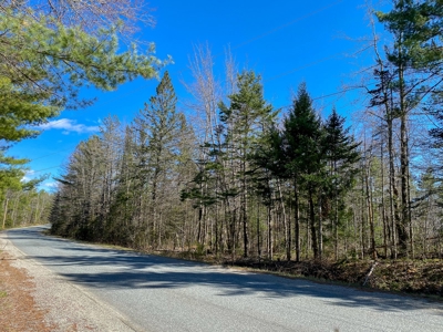 50± Acres in Otis, Maine - image 9