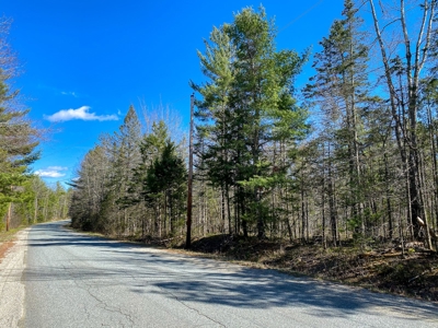 50± Acres in Otis, Maine - image 8