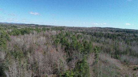 50± Acres in Otis, Maine - image 4